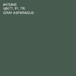 #475B4E - Gray Asparagus Color Image